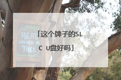 这个牌子的SLC U盘好吗