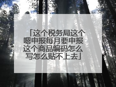 这个税务局这个嗯申报每月要申报这个商品编码怎么写怎么贴不上去