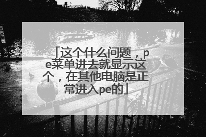 这个什么问题,pe菜单进去就显示这个,在其他电脑是正常进入pe的