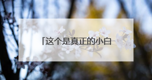 这个是真正的小白一键重装系统?