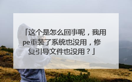 这个是怎么回事呢,我用pe重装了系统也没用,修复引导文件也没用?