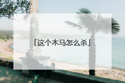 这个木马怎么杀