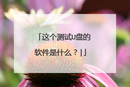 这个测试U盘的软件是什么?|