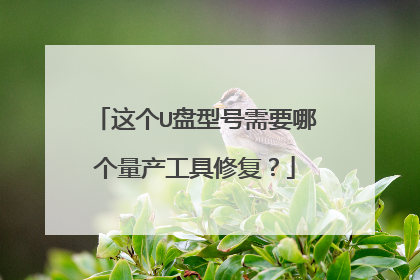 这个U盘型号需要哪个量产工具修复?