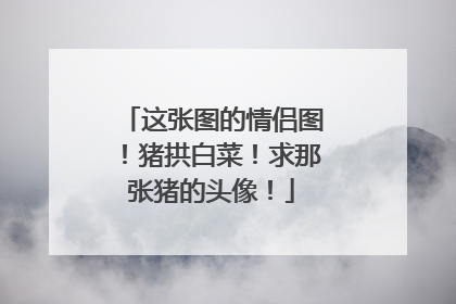 这张图的情侣图!猪拱白菜!求那张猪的头像!