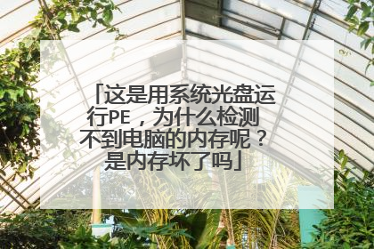 这是用系统光盘运行PE,为什么检测不到电脑的内存呢?是内存坏了吗