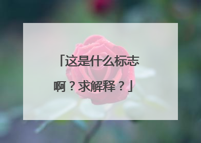 这是什么标志啊？求解释？