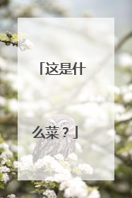 这是什么菜?