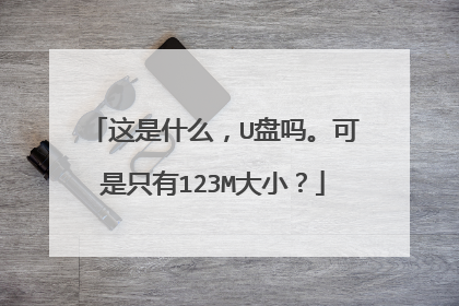 这是什么,U盘吗。可是只有123M大小?