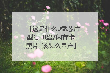这是什么U盘芯片型号 U盘/闪存卡黑片 该怎么量产