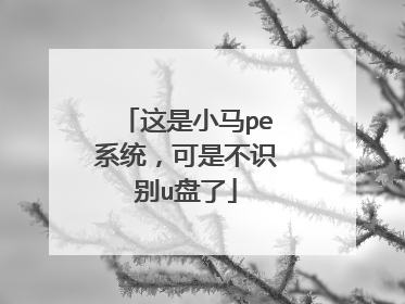 这是小马pe系统，可是不识别u盘了