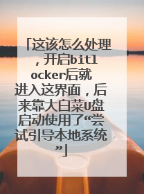 这该怎么处理,开启bitlocker后就进入这界面,后来靠大白菜U盘启动使用了“尝试引导本地系统”