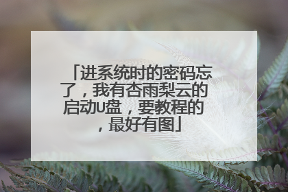进系统时的密码忘了,我有杏雨梨云的启动U盘,要教程的,最好有图