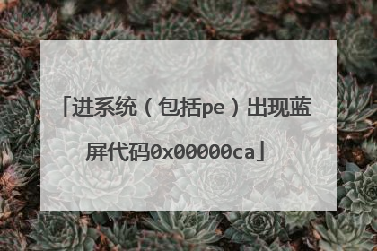 进系统（包括pe）出现蓝屏代码0x00000ca