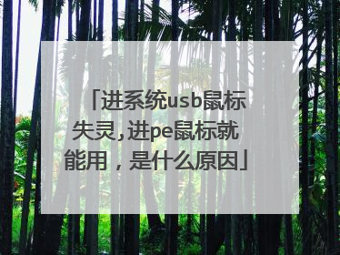 进系统usb鼠标失灵,进pe鼠标就能用，是什么原因