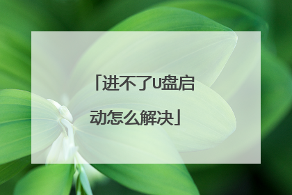 进不了U盘启动怎么解决