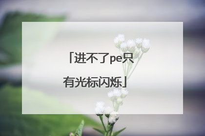 进不了pe只有光标闪烁