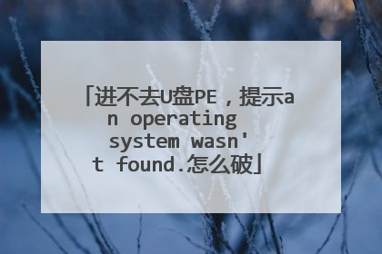 进不去U盘PE，提示an operating system wasn't found.怎么破