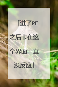 进了PE之后卡在这个界面一直没反应