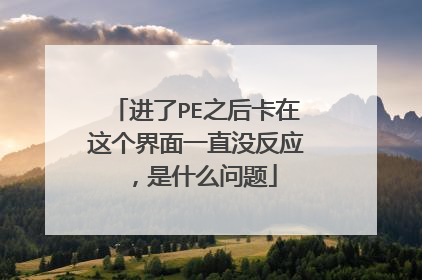进了PE之后卡在这个界面一直没反应，是什么问题