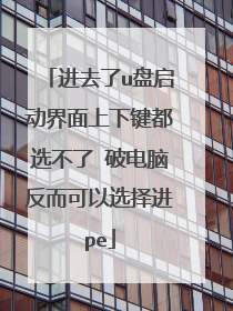 进去了u盘启动界面上下键都选不了 破电脑反而可以选择进pe