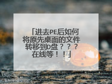 进去PE后如何将原先桌面的文件转移到D盘???在线等!!