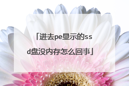 进去pe显示的ssd盘没内存怎么回事