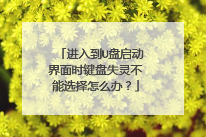 进入到U盘启动界面时键盘失灵不能选择怎么办?