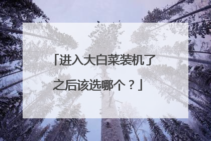进入大白菜装机了之后该选哪个?