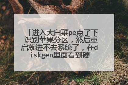 进入大白菜pe点了下 识别苹果分区,然后重启就进不去系统了,在diskgen里面看到硬盘也变成8G了。