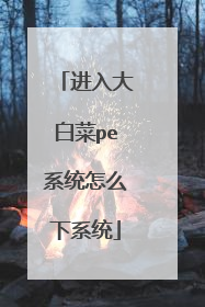 进入大白菜pe系统怎么下系统