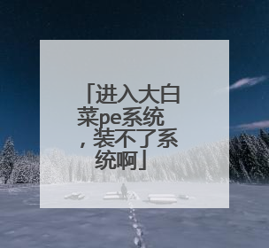 进入大白菜pe系统,装不了系统啊