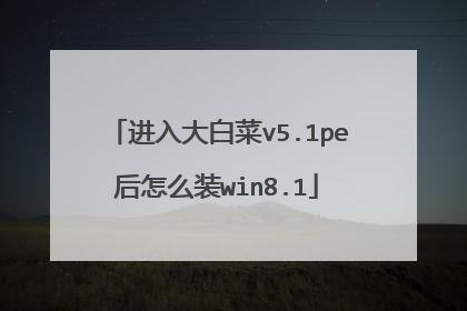 进入大白菜v5.1pe后怎么装win8.1