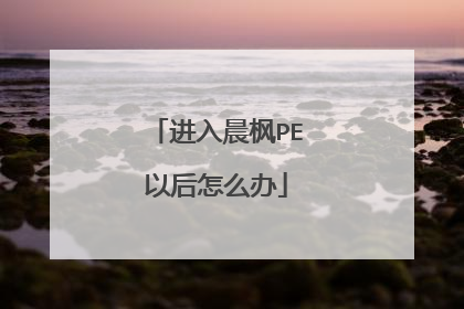进入晨枫PE以后怎么办