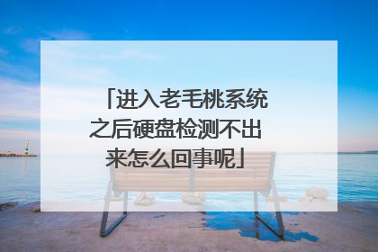 进入老毛桃系统之后硬盘检测不出来怎么回事呢
