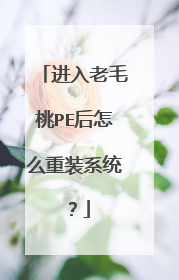 进入老毛桃PE后怎么重装系统?