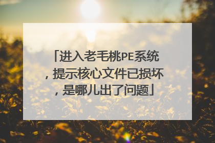 进入老毛桃PE系统，提示核心文件已损坏，是哪儿出了问题