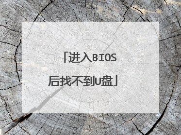 进入BIOS后找不到U盘