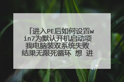 进入PE后如何设置win7为默认开机启动项 我电脑装双系统失败 结果无限死循环 想 进PE修复 谢谢 求教