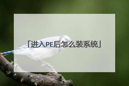 进入PE后怎么装系统