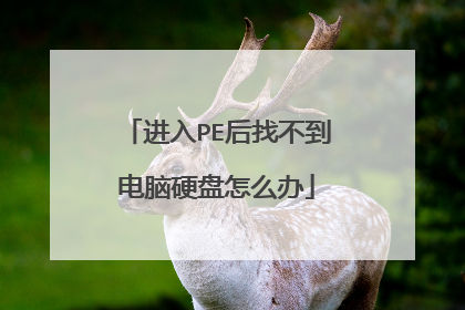 进入PE后找不到电脑硬盘怎么办