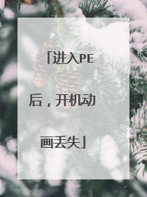 进入PE后,开机动画丢失
