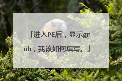 进入PE后,显示grub,我该如何填写。