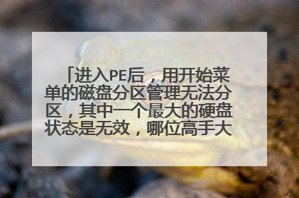 进入PE后，用开始菜单的磁盘分区管理无法分区，其中一个最大的硬盘状态是无效，哪位高手大侠给讲讲怎么弄