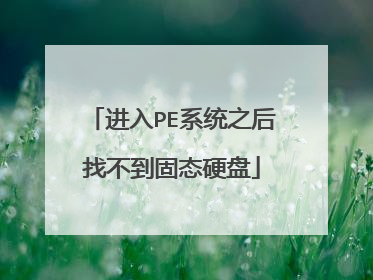 进入PE系统之后找不到固态硬盘