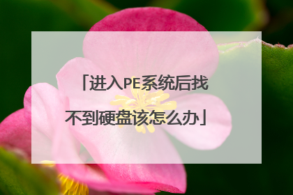 进入PE系统后找不到硬盘该怎么办