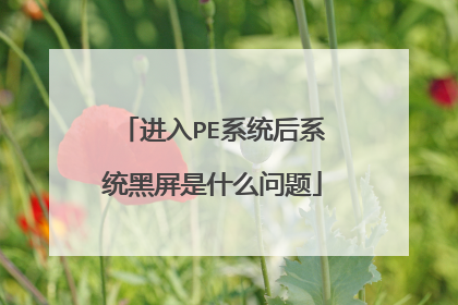进入PE系统后系统黑屏是什么问题