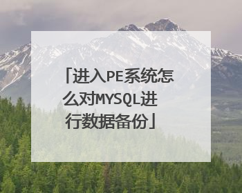 进入PE系统怎么对MYSQL进行数据备份