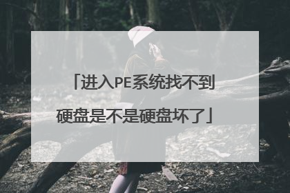 进入PE系统找不到硬盘是不是硬盘坏了