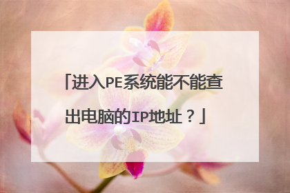 进入PE系统能不能查出电脑的IP地址？